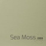 Sea Moss / Száraz moha EGGSHELL 500 ml AUTENTICO VERSANTE (nem kell viaszolni vagy lakkozni) 